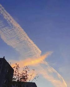 神凰和幻域哪个厉害