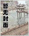 小说代号